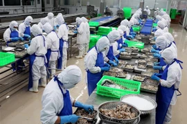 Hoạt động sản xuất trong nhà máy chế biến thủy sản COFIDEC. (Ảnh minh họa: Hồng Đạt/TTXVN)