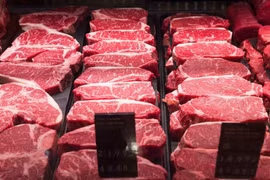 (Nguồn: CTV News)