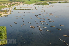 Làng chài ngư dân trên đầm Phá Tam Giang thuộc khu vực xã Quảng Lợi, huyện Quảng Điền. (Ảnh: Hồ Cầu/TTXVN)