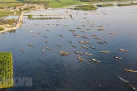 Làng chài ngư dân trên đầm Phá Tam Giang thuộc khu vực xã Quảng Lợi, huyện Quảng Điền. (Ảnh: Hồ Cầu/TTXVN)