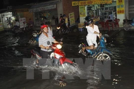 Ảnh chỉ có tính minh họa. (Ảnh: Hoàng Hải/TTXVN)