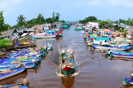 Do luồng lạch hẹp, nhiều bãi bồi nên ngư dân Cà Mau gặp khó khăn trong việc phát triển đội tàu cá lớn đi đánh bắt thủy hải sản. (Ảnh: Huỳnh Thế Anh/TTXVN) 