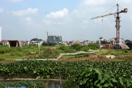 Ảnh minh họa. (Nguồn: TTXVN)