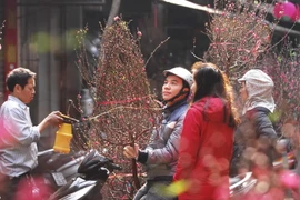 Ảnh minh họa. (Nguồn: TTXVN)