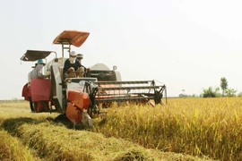 Cơ giới hóa trên cánh đồng xã nông thôn mới Đại Tâm, huyện Mỹ Xuyên, tỉnh Sóc Trăng. (Ảnh: Chanh Đa/TTXVN)