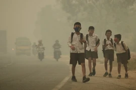 Khói mù do cháy rừng bao phủ tỉnh Jambi, Indonesia ngày 29/9. (Nguồn: Reuters/TTXVN)