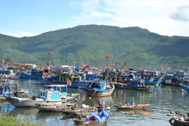 Ảnh minh họa. (Nguồn: TTXVN)