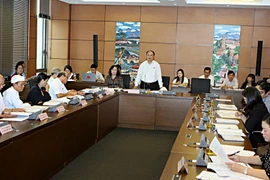 Đại biểu Quốc hội các tỉnh Ninh Bình, Đắk Nông, Kiên Giang, Long An thảo luận ở tổ. (Ảnh: Nguyễn Dân/TTXVN)