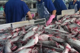 Ảnh minh họa. (Nguồn: TTXVN)