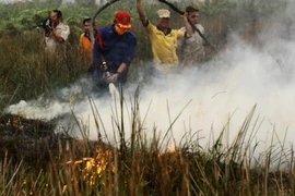 Nhân viên cứu hỏa Indonesia nỗ lực dập các đám cháy rừng tại Banyuasin, Nam Sumatra ngày 7/10. (Nguồn: AFP/TTXVN)