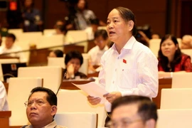 Đại biểu Quốc hội thành phố Đà Nẵng Huỳnh Nghĩa phát biểu ý kiến. (Ảnh: Phương Hoa/TTXVN)