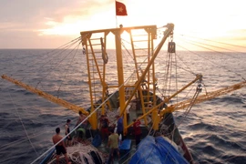 Ảnh minh họa. (Ảnh: Quang Quyết/TTXVN)