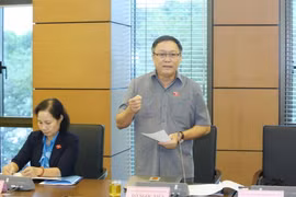 Đại biểu Quốc hội tỉnh Ninh Thuận Đỗ Ngọc Niễn phát biểu tại tổ. (Ảnh: Phương Hoa/TTXVN)