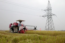 Thu hoạch lúa bằng máy gặt đập liên hợp trên cánh đồng ở huyện Thanh Bình, Đồng Tháp. Ảnh minh họa. (Ảnh: Văn Trí/TTXVN)