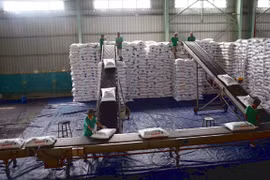 Vận chuyển đạm Phú Mỹ tại kho hàng của PVFCCo tại Cần Thơ. (Ảnh minh họa: Huy Hùng/TTXVN)