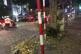 Ảnh minh họa. (Nguồn: Vietnam+)