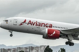 Máy bay của hãng hàng không Avianca tại sân bay quốc tế El Dorado ở Bogota, Colombia ngày 10/5/2020. (Ảnh: AFP/TTXVN)