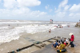 (Ảnh minh họa: Trần Thị Thu Hiền/TTXVN)