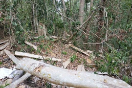 (Ảnh minh họa: Tuấn Anh/TTXVN)