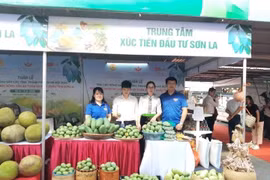 Gian hàng giới thiệu sản phẩm của các tỉnh, thành phố trưng bày tại Big C Thăng Long. (Ảnh: Phương Anh/TTXVN)