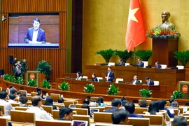 Bộ trưởng Bộ Công an Lương Tam Quang giải trình, làm rõ một số vấn đề đại biểu Quốc hội nêu. (Ảnh: Doãn Tấn - TTXVN)