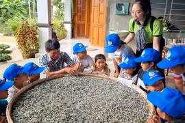 Học sinh trải nghiệm cách nuôi tằm tại huyện Nghĩa Hành, tỉnh Quảng Ngãi. (Ảnh: TTXVN phát)
