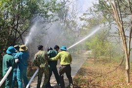 Thực hành phương án phòng cháy chữa cháy tại Khu Bảo tồn loài-sinh cảnh Vườn chim Bạc Liêu. (Ảnh: TTXVN phát)