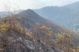 Đến 6 giờ sáng 26/3, vụ cháy rừng tại huyện Mù Cang Chải, tỉnh Yên Bái đã được dập tắt hoàn toàn. (Ảnh: TTXVN phát)