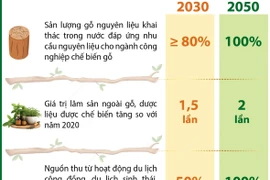 Đặt mục tiêu tăng thu nhập của lao động sản xuất lâm nghiệp lên gấp 1,5 lần.