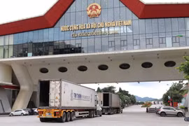 Công chức Chi cục Hải quan Cửa khẩu Chi Ma hướng dẫn doanh nghiệp làm thủ tục xuất nhập khẩu hàng hóa. (Ảnh: Quang Duy/TTXVN)