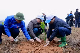 Hưởng ứng Tết trồng cây tại huyện Văn Chấn, tỉnh Yên Bái. (Ảnh: Tuấn Anh/TTXVN)