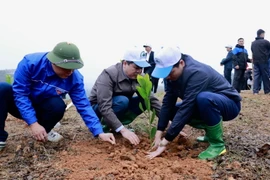 Hưởng ứng Tết trồng cây tại huyện Văn Chấn, tỉnh Yên Bái. (Ảnh: Tuấn Anh/TTXVN)