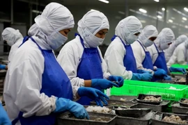 Chế biến tôm xuất khẩu tại một công ty thuộc Khu công nghiệp Vĩnh Lộc, huyện Bình Chánh, Thành phố Hồ Chí Minh. (Ảnh: Hồng Đạt/TTXVN)