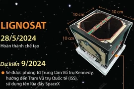 Khám phá LignoSat - vệ tinh bằng gỗ đầu tiên trên thế giới.