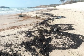 Dầu vón cục trôi dạt vào bãi biển Mũi Né, thành phố Phan Thiết, tỉnh Bình Thuận. (Ảnh: Nguyễn Thanh/TTXVN)