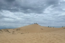 Đồi cát Quang Phú, cách trung tâm thành phố Đồng Hới khoảng 8km, là điểm đến không thể bỏ lỡ đối với du khách khi đến Quảng Bình. (Nguồn: Vietnam+)