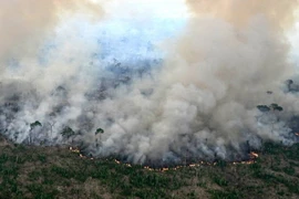 Khói lửa bốc lên từ đám cháy rừng ở Labrea, bang Amazonas, Brazil, ngày 20/8/2024. (Ảnh: Getty Images/TTXVN)