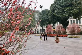 Một gia đình xuất hành đầu năm và du Xuân trong ngày mùng 1 Tết. (Ảnh: Nhật Anh/TTXVN)