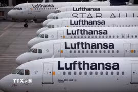 Tập đoàn hàng không Lufthansa lên kế hoạch cắt giảm hàng nghìn việc làm (Ảnh: TTXVN phát)