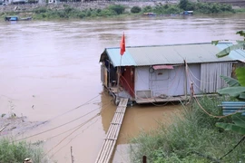 Người dân chủ động tìm chỗ neo đậu an toàn khi nước sông Lô dâng cao. (Ảnh: Quang Cường/TTXVN)