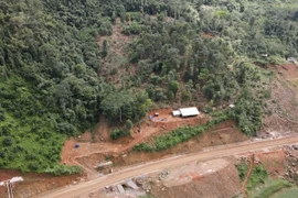 Hiện trường khu vực được cho là rừng phòng hộ bị chặt, phá. (Ảnh: TTXVN phát)