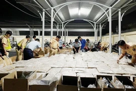 Lực lượng chức năng thu giữ hàng nghìn bao thuốc lá nhập lậu. (Ảnh: TTXVN phát)
