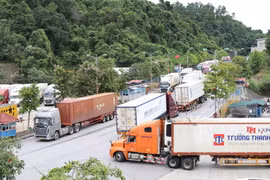 Hoạt động xuất nhập khẩu sôi động tại Cửa khẩu Quốc tế Hữu Nghị, tỉnh Lạng Sơn. (Ảnh: Quang Duy/TTXVN)