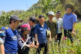Đối tượng Lỳ Khừ Nu (thứ 2 bên trái). (Ảnh: TTXVN phát)