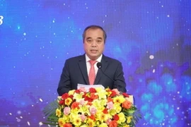 Ông Trần Hoàng Tuấn - Phó Chủ tịch Thường trực Ủy ban Nhân dân tỉnh Quảng Ngãi. (Ảnh: Phạm Cường/TTXVN)