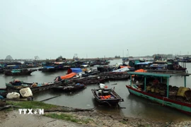 Tàu thuyền được thông báo tránh trú bão. (Ảnh: TTXVN)