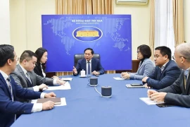 Bộ trưởng Ngoại giao Bùi Thanh Sơn điện đàm với Bộ trưởng Ngoại giao Hàn Quốc Cho Tae Yul. (Ảnh: TTXVN phát)