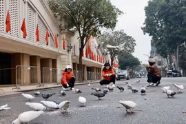 Khoảnh khắc bình yên trước cổng chợ Đồng Xuân ngày đầu năm mới Giáp Thìn. (Ảnh: Nhật Anh/TTXVN)