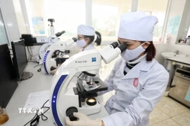 Nghiên cứu khoa học. (Nguồn: TTXVN)