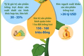 Kim ngạch xuất khẩu các sản phẩm trồng trọt hướng đến mục tiêu 26 tỷ USD.